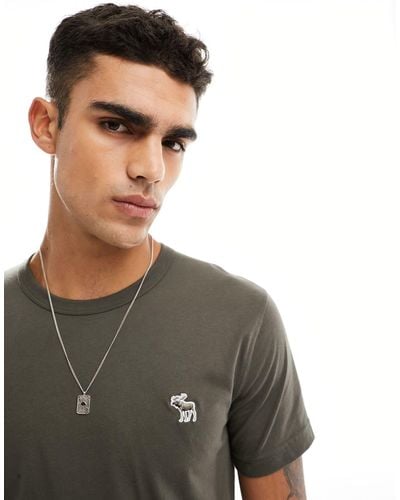Abercrombie & Fitch Elevated Icon Logo T-shirt - Grey