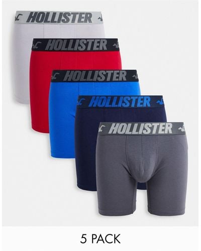 Hollister 5 Pack Logo Waistband Trunks - Blue