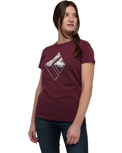 Black Diamond Diamond Mountain Logo T-Shirt - Red
