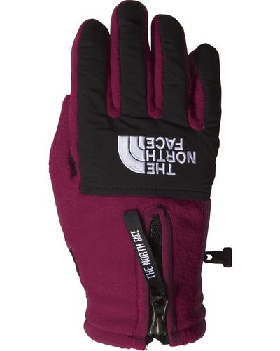 The North Face Denali Etip Glove - Purple