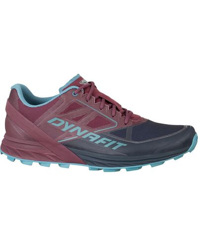 Dynafit Alpine Trail Running Shoe - Gray