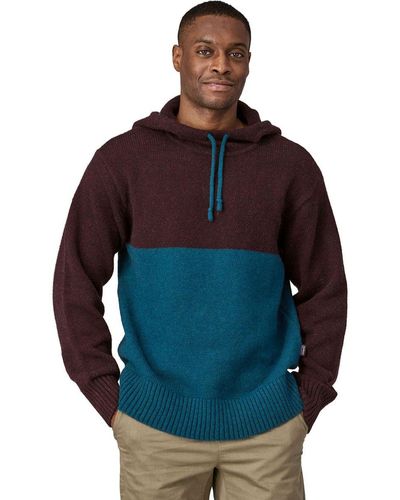 Patagonia Recycled Wool-Blend Sweater Hoodie - Multicolor