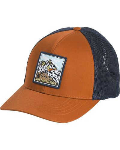 The North Face Truckee Trucker Hat Leather/Earthscape Patch - Blue