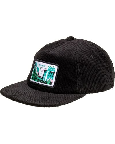 Parks Project Yosemite Tunnel View Patch Cord Hat - Black