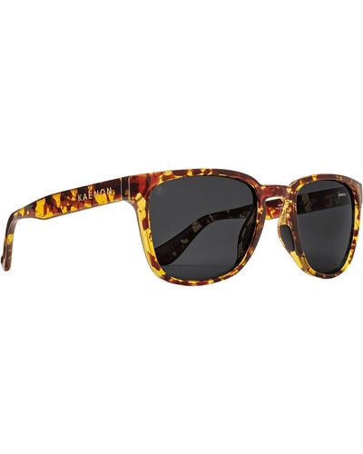 Kaenon Avalon Polarized Sunglasses - Brown