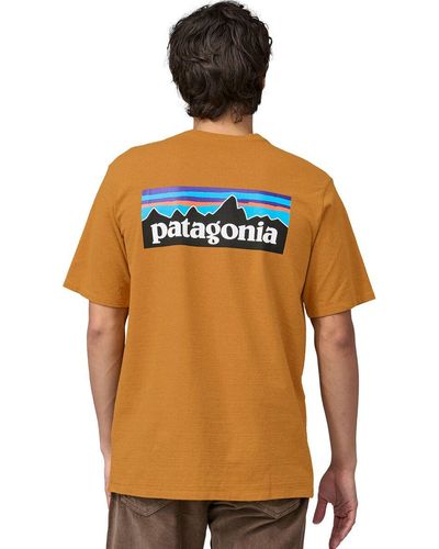 Patagonia P-6 Logo Short-Sleeve Responsibili-T-Shirt - Multicolor