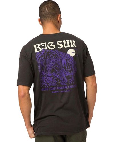 Parks Project Big Sur Bridges Puff Print Pocket T-Shirt - Black