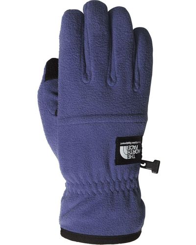 The North Face Etip Heavyweight Fleece Glove - Blue