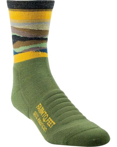 FARM TO FEET Max Patch Mountain 3/4 Technical Crew Sock - Green