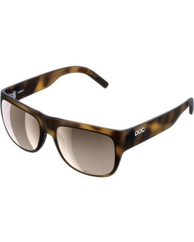 Poc Want Sunglasses Tortoise/Clarity Trail - Brown