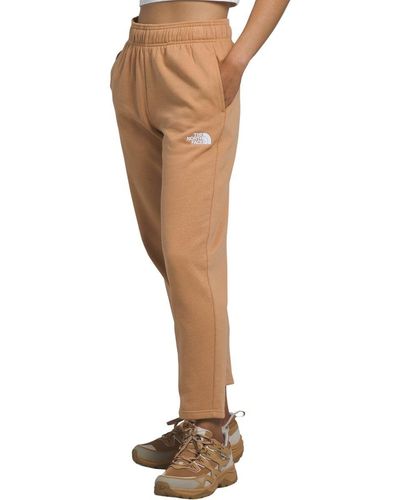 The North Face Evolution Cocoon Fit Sweatpant - Brown