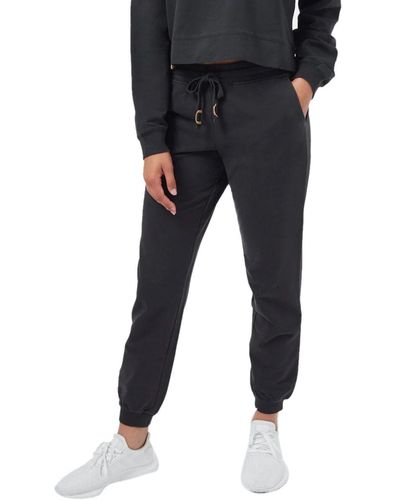 Tentree French Terry Fulton Jogger - Black
