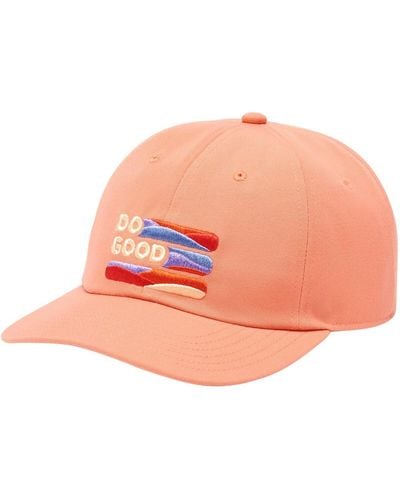 COTOPAXI Do Good Stripe Dad Hat - Pink