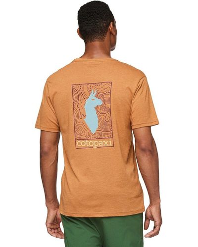 COTOPAXI Llama Map Organic T-Shirt - Green