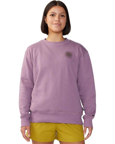 Mountain Hardwear Spiral Pullover Crew Sweatshirt - Purple