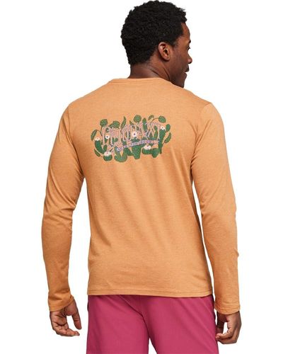 COTOPAXI Cactus Life Long-Sleeve Organic T-Shirt - Green