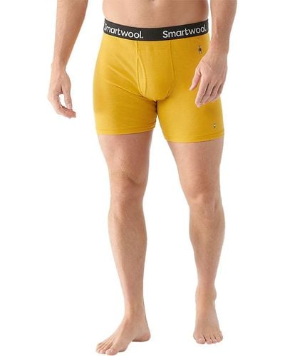 Smartwool Underwear for Men, Online Sale up to 45% off