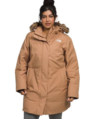 The North Face Arctic Plus Parka - Brown