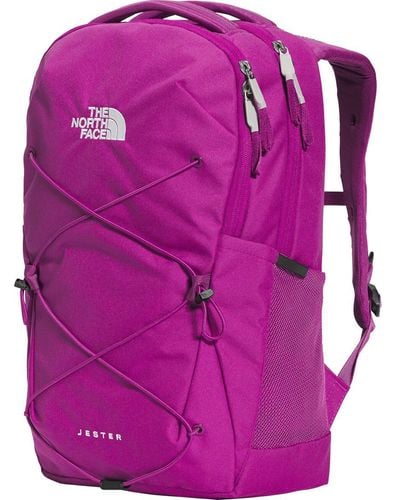 The North Face Jester 22L Backpack - Purple