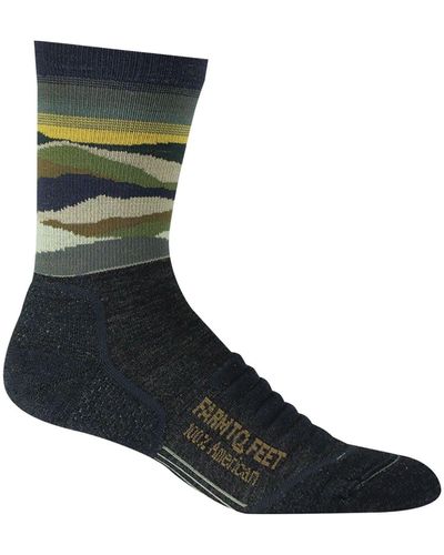 FARM TO FEET Max Patch Mountain 3/4 Technical Crew Sock - Multicolor