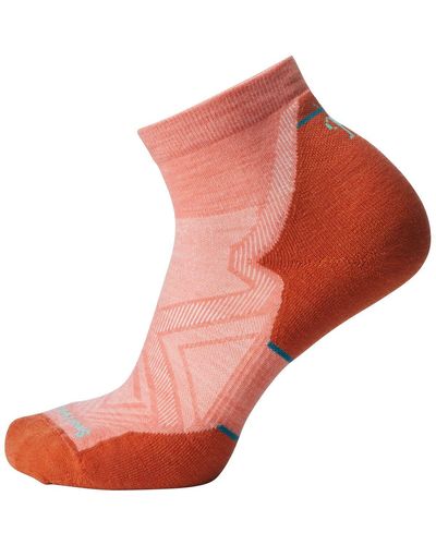 Smartwool Run Targeted Cushion Ankle Sock - Orange