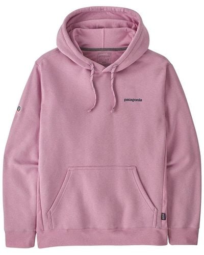 Patagonia Hoodies for Men, Online Sale up to 54% off