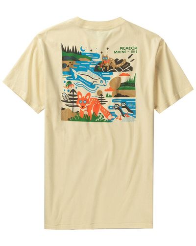Parks Project Acadia 1919 T-Shirt - White