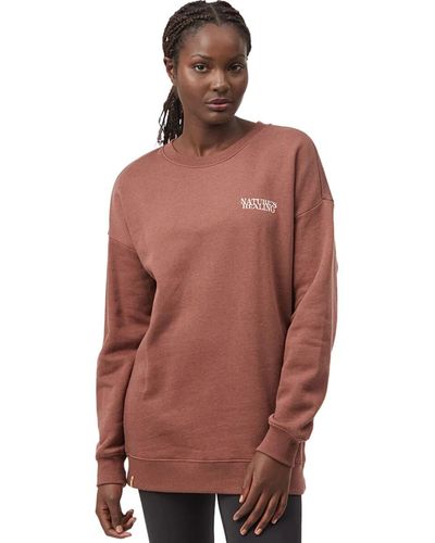 Tentree sweaters cheap
