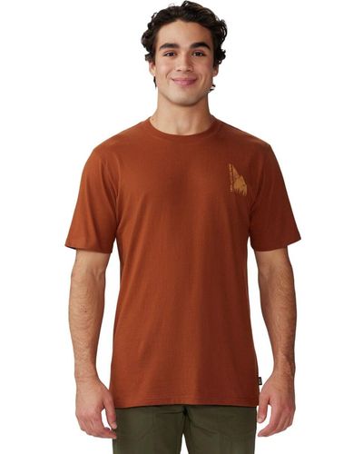 Mountain Hardwear Jagged Peak Short-Sleeve T-Shirt - Brown