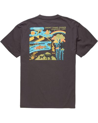 Parks Project Great Sand Dunes 2004 T-Shirt - Gray