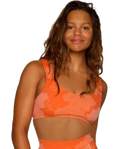 Seea Georgia Bikini Top - Orange