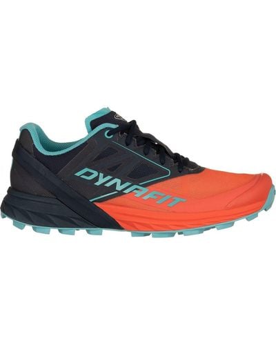 Dynafit Alpine Trail Running Shoe - Blue