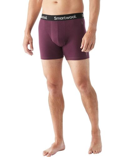 Smartwool Boxers for Men, Online Sale up to 49% off