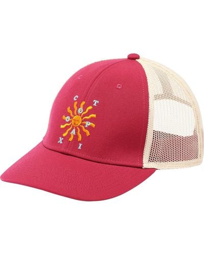 COTOPAXI Happy Day Trucker Hat - Pink