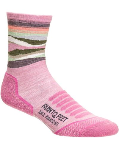 FARM TO FEET Max Patch Mountain 3/4 Technical Crew Sock - Pink