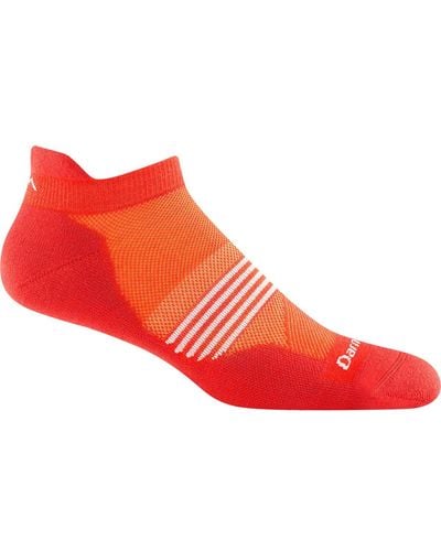 Darn Tough Element No-Show Tab Lightweight Cushion Sock - Red