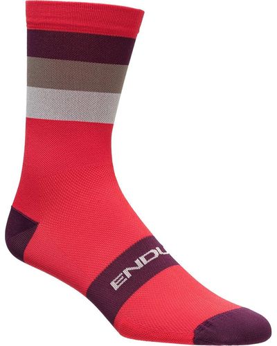 Endura Bandwidth Sock - Red