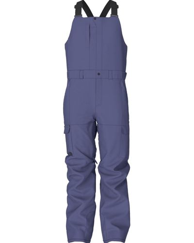 The North Face Freedom Bib Pant - Blue