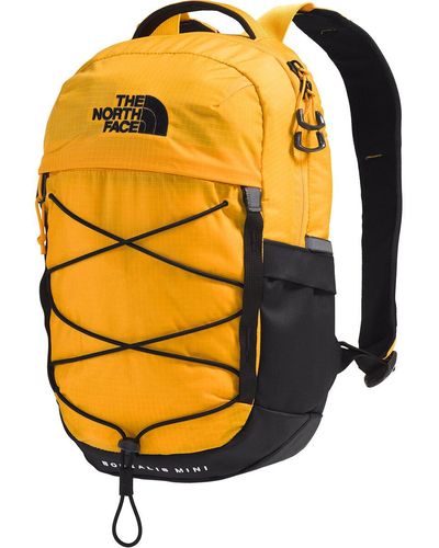 The North Face Borealis Mini 10L Backpack Summit/Tnf - Metallic