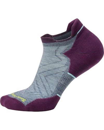 Smartwool Run Targeted Cushion Low Ankle Sock - Purple