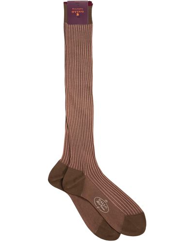 Gallo Long Cotton Socks - Brown