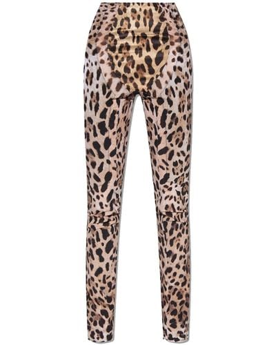 Dolce & Gabbana X Kim Leopardenhose - Mehrfarbig