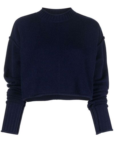 Sportmax Wool And Cashmere Sweater - Blue