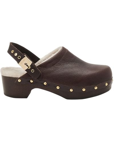 Scholl Choll Pescura Robin Shoes - Brown