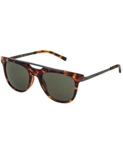 Sting Sunglasses - Brown