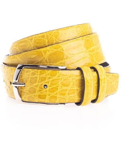 D'Amico Belts - Yellow