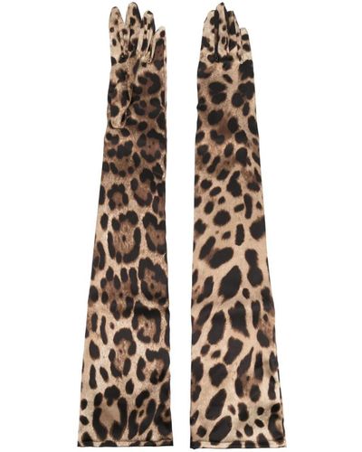 Dolce & Gabbana Leopard Print Silk Gloves - Brown