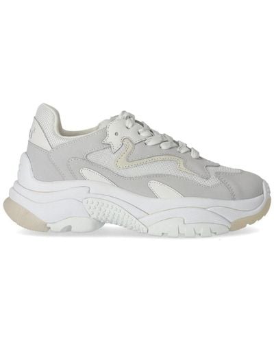 Ash Addict White Sneaker - Gray