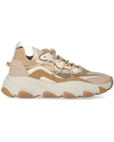 Ash Extra Bis Gardenia Sneaker - Natural