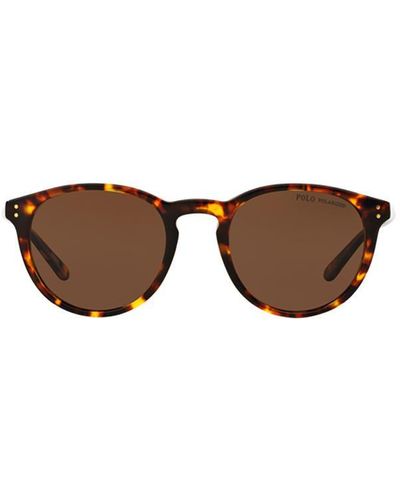 Polo Ralph Lauren Sunglasses - Multicolour